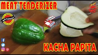 Meat Tenderizer  Homemade Steak Tenderizer  Kacha Papita for Meat  100 Natural [upl. by Hoseia]