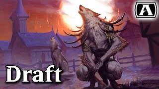 INNISTRAD Midnight Hunt BUNDLE  Magic the Gathering  Unboxing [upl. by Bond]