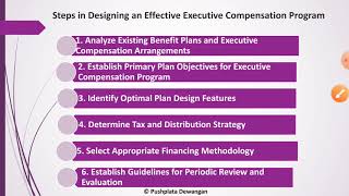 Executive Compensation amp Wage Differentials [upl. by Nirrej]