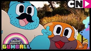 Wąsy  Niesamowity świat Gumballa  Cartoon Network [upl. by Woothen]