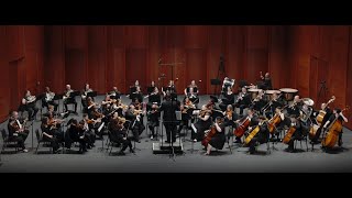 Tchaikovsky Symphony No 5 in E minor Op 64 [upl. by Garvin]