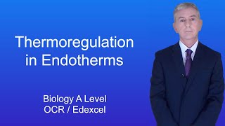 A Level Biology Revision Year 13 quotThermoregulation in Endothermsquot [upl. by Nerradal]