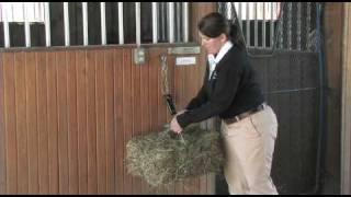 How To Weigh Your Horses Feed [upl. by Mcdowell]