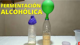 Experimento sobre la fermentación alcohólica procedimiento y materiales [upl. by Reinnej]