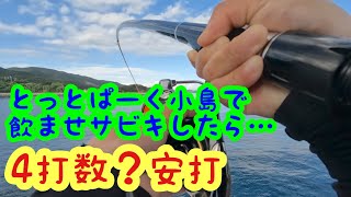 【とっとパーク小島】8月のとっとパーク小島で一日中飲ませサビキしたら…やっぱり楽しすぎる‼️ [upl. by Selec406]