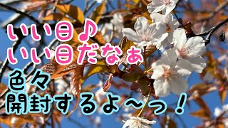 【開封動画】お友達からのプレゼントを開封したら愛が詰まってました。猫の福袋とキッチンカー紹介も！ [upl. by Cohby]