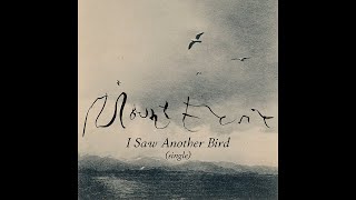 Mount Eerie  I Saw Another Bird [upl. by Abell353]