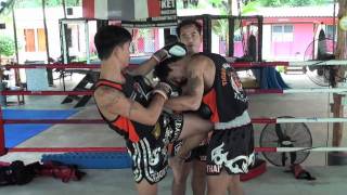 Tiger Muay Thai Techniques Push front kick to leg to set up step forward knee strike [upl. by Alleusnoc]