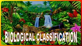 Biological classification  Part 1 Systems of classification Kingdom Monera [upl. by Kermit]