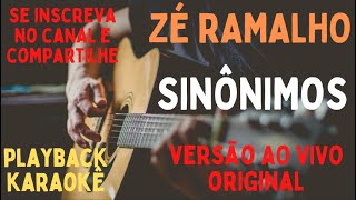 Zé Ramalho  Sinônimos  karaokê versão original ao vivo [upl. by Suilienroc]