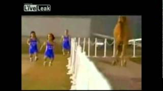 4 Midgets Race a camel w Super Mario Bros Sounds [upl. by Birkner518]