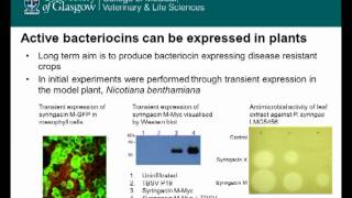 Colicinlike bacteriocins by Daniel Walker [upl. by Mixam]