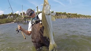 I Cant Believe He Landed This Fish Wade fishing with Landshark Fishing [upl. by Yentruoc]