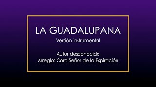 La Guadalupana  Versión instrumental [upl. by Chap904]