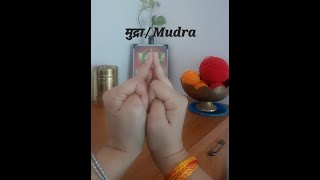 Mudras मुद्रा  Hand Gestures  Hand Seals [upl. by Kial]