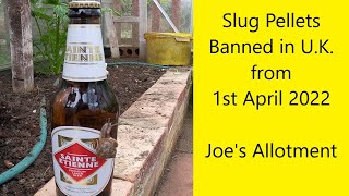 Slug Pellets Banned From 1st April 2022  UK Allotment Zone 8 [upl. by Pearla677]