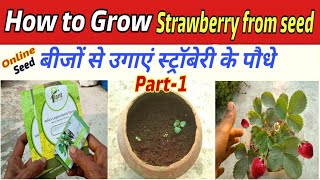 How to Grow Strawberry plants from seed [upl. by Beichner]