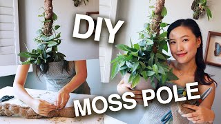 How to Make a Moss Pole amp Install for Your Vining Plants  GROW BIGGER POTHOS MONSTERA LEAVES [upl. by Socha637]