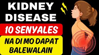 10 Senyales Ng Sakit Sa Kidney  Maging Alerto Sa Mga Sintomas Ng Kidney Disease [upl. by Obelia]