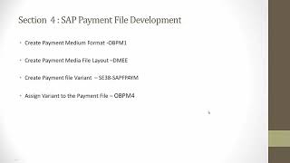 SAP ACH Wire Part 12 [upl. by Bartolomeo540]