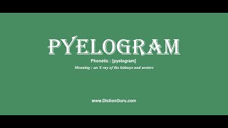 pyelogram Pronounce pyelogram with Meaning Phonetic Synonyms and Sentence Examples [upl. by Okiruy321]