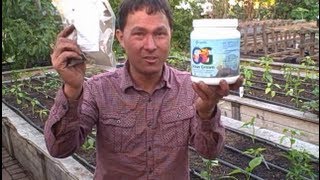 Amino Acid Organic Fertilizer Increases Yields and Will Not Burn Plants [upl. by Inaliak]