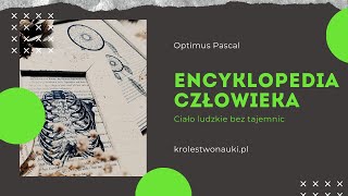 Encyklopedia człowieka Ciało ludzkie bez tajemnic Optimus Pascal [upl. by Toma]