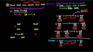 Pentose Phosphate Pathway Part 3 of 5  Control and Regulation Details [upl. by Lanti781]