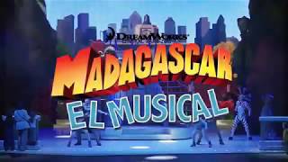 MADAGASCAR EL MUSICAL llega al Teatro Gran Via de Madrid [upl. by Atir796]