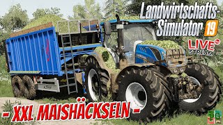 LS19 LIVE🔴 XXL MAISHÄCKSELN Tag 2  NewHolland T8│EBSDORFER HEIDE🚜PC│Landwirtschafts Simulator 19 [upl. by Iatnahs952]