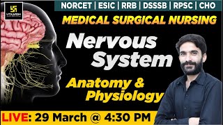 Nervous System  Anatomy amp Physiology  For NORCET  ESIC  RRB  DSSSB  RPSC  CHO Exams Raju Sir [upl. by Son]