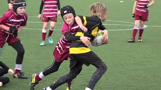 Sale Sharks U10s Festival of Rugby  20th October 2018  Longton vs Wirral [upl. by Yrebmik127]