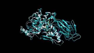 Small RNABased Antiviral Defense in the Phytopathogenic Fungus Colletotrichum higginsianum [upl. by Htebarual]