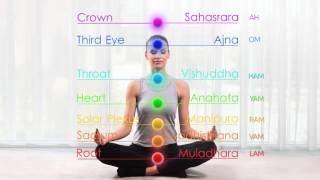 7 Chakras Seed Mantras Cyclic Chanting Meditation  Root Chakra to Crown Chakra to Root Chakra [upl. by Novak]