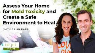 148 Dr Jill interviews mold inspection expert Brian Karr on Assessing Homes for Mold Toxicity [upl. by Adkins]