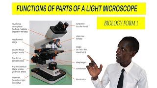 Practical Lesson 1 Parts of a light microscope and their functions [upl. by Ecnarf]