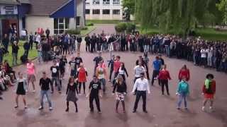 Flash Mob 2014 [upl. by Mirabelle]