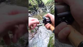 Cast the lure far into the gorge＝NICE Trout maire MG45lcUD3p Isuzu BC421SSS mountainstreamfishing [upl. by Terrene]