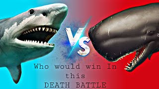 Megalodon vs livyatan  Who will win  Animaltalkchannel kingofbeasts1866 BattleOffBeasts [upl. by Reiche]