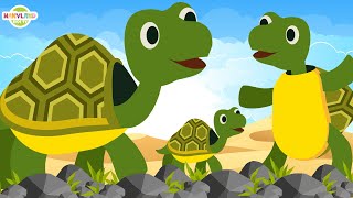 I Had A Little Turtle  Tiny Tim Turtle Song  Song For Kids By Nanyland Nursery Rhymes amp Kids Song [upl. by Ahrendt]