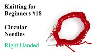 How to Knit in the Round using Circular Needles  Knitting for Beginners 18 [upl. by Schurman]