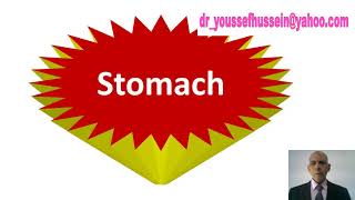 Stomach  Surface anatomy  Relations  Blood supply  Lymphatic drainage  Peptic ulcer  Cells [upl. by Akim]