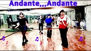 Andante Andante line danceIntermediate Rolling 8Count Maryloo – France  January 2019 [upl. by Egrog]