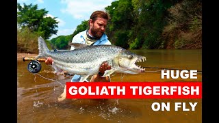 Expedition to the Congo to fish for a Goliath Tigerfish on fly [upl. by Lorenza]