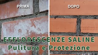 EFFLORESCENZE SALINE  Pulitura e protezione su murature in mattoni faccia a vista o miste [upl. by Amlez]