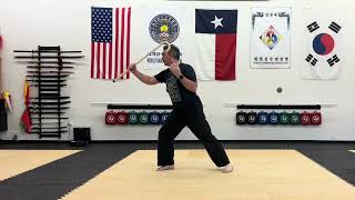 Cane Form for Tang Soo Do [upl. by Spatz]