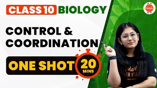 Control and Coordination Class 10 One Shot in 20 Mins  NCERT Biology Class10 Chapter 2  CBSE 2024 [upl. by Flight298]