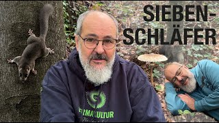 Siebenschläfer Den Seinen gibts der Herr im Schlaf [upl. by Sherborn]