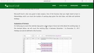 How to Count Working Days in Excel  Networkdays Function [upl. by Enelaehs]