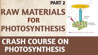 PhotosynthesisClass 11NCERTPart 2Raw Material for PhotosynthesisCrash CourseNEETAIIMSBiology [upl. by Anaidiriv977]